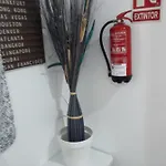 Casa Eucalipto 2*
