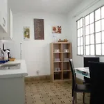 Casa Eucalipto