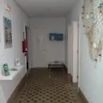 Casa Eucalipto לאס פאלמס דה גראן קנאריה